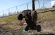 Радиоуправляемая машинка ENOZE 9203E 1:10 4WD, внедорожник на пульте RC до 45 км/ч для бездорожья, мощный двигатель 7554434343 фото 5