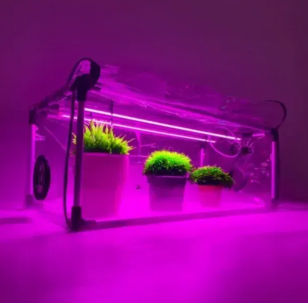 Пророщувач Greencap Bicolor: фітолампи та зволожувач GcapBi фото