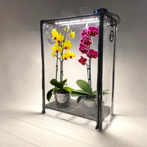 Міні-теплиця для орхідей та тропічних рослин Orchid Black - зволожувач, фітосвітло, таймер O1202 фото