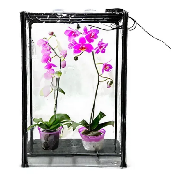 Міні-теплиця для орхідей та тропічних рослин Orchid Black - зволожувач, фітосвітло, таймер O1202 фото