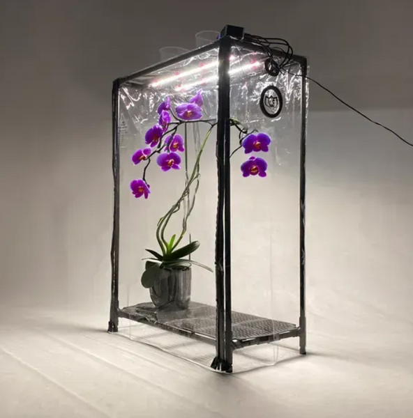 Міні-теплиця для орхідей та тропічних рослин Orchid Black - зволожувач, фітосвітло, таймер O1202 фото