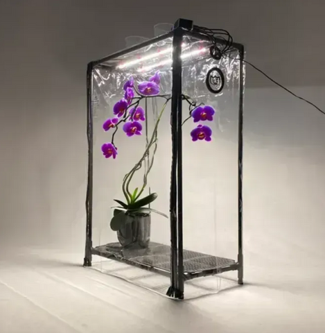 Теплиця OrchidB: зволожувач, фітосвітло та таймер для розсади SezO фото