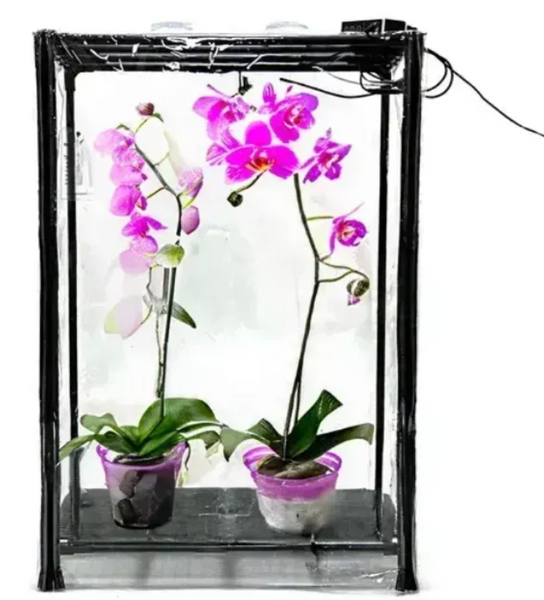 Теплица OrchidB: увлажнитель, фитосвет и таймер для рассады SezO фото