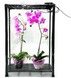 Теплица OrchidB: увлажнитель, фитосвет и таймер для рассады SezO фото 3