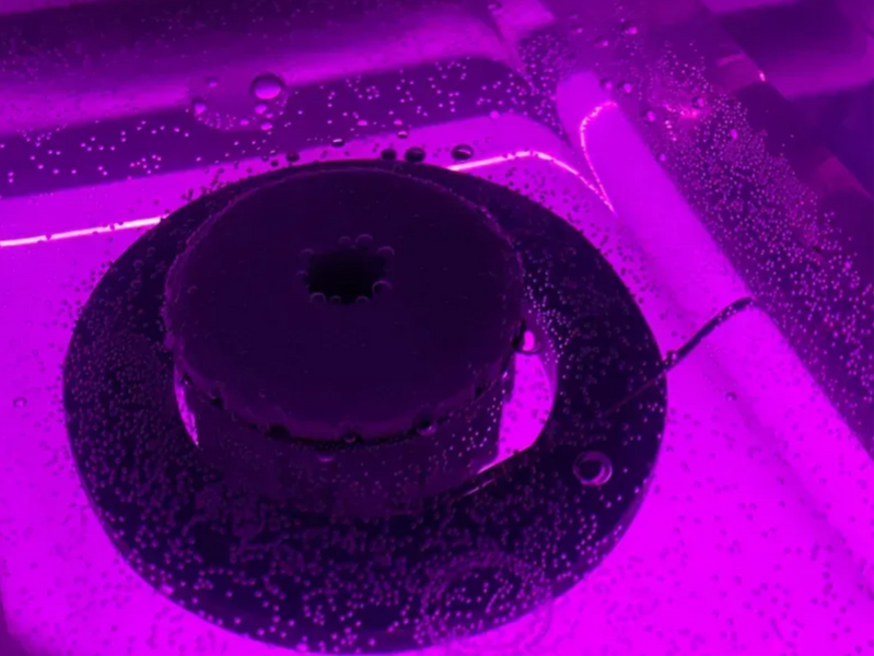 Greencap Bicolor &mdash; Автоматический проращиватель для растений и рассады с увлажнителем и фитолампами G1508 фото