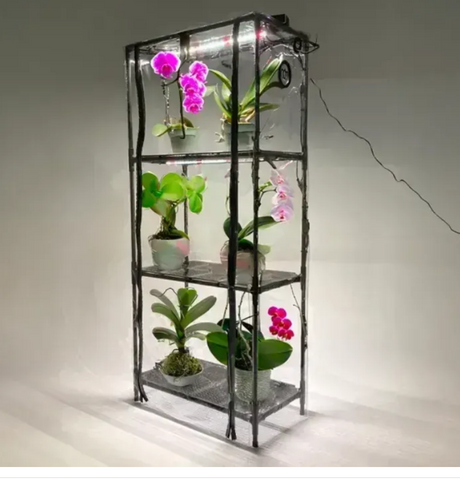 Теплиця для розсади TropicB: авто-вологість, фітосвітло та таймер  Bltropic1 фото