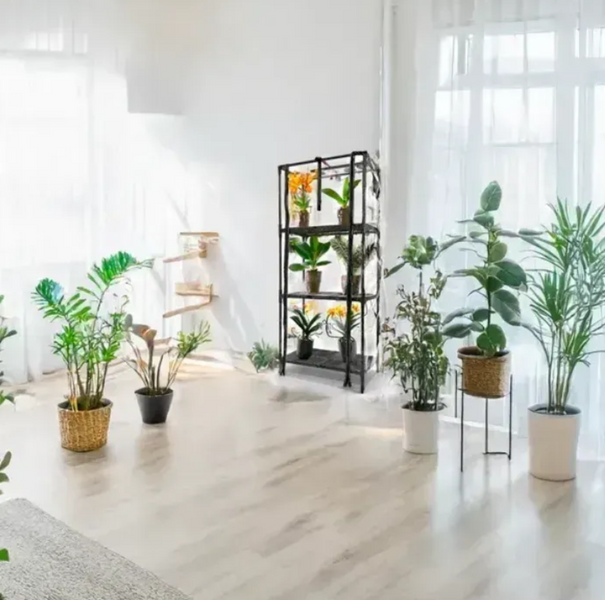 Теплиця для розсади TropicB: авто-вологість, фітосвітло та таймер  Bltropic1 фото