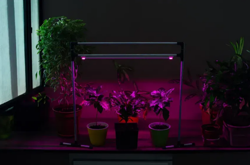 Лампа для рослин Metaflex Uno Bicolor, фіто лампа для розсади, квітів, рослин на підвіконня MetaFlexUnoBi фото