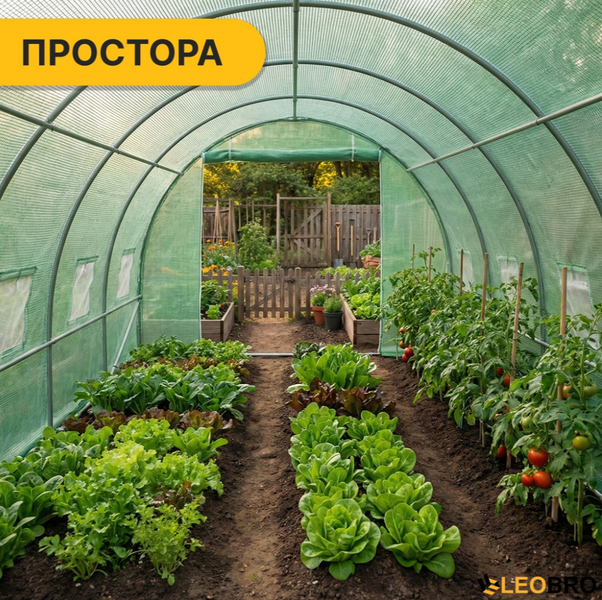 Посилена теплиця LEOBRO 24м&sup2; (8х3м) &mdash; СТАЛЕВИЙ СКЕЛЕТ. Армована плівка: Вітростійка 100%, СТІЙКА ДО ГРАДУ та шторму LB-G124-GRN фото